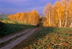 Grzęda Sokalska jesienią - okolice Ruszowa