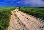 Naturalna skalista droga - okolice wsi Niedzieliska
