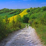 Na zdjeciu obszar Natura 2000 Niedzieliska. Miejsce to jest niebywale urokliwe, nie ma tu ciżby turystycznej, zaś rozległe widoki sprawiają, że człek dobrze się tam czuje.