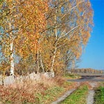 Między Bodaczowem a miejscowością Niedzieliska - Kolonia