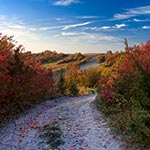 Obszar Natura 2000 Niedzieliska jesienią. Na filmie Krzysztofa Nowaka pt. Zachcia Łosie... od 46 sekundy macham Wam właśnie z tego miejsca i momentu kiedy fotografowaliśmy tę drogę. Pozdrawiamy również pana Krzysztofa i paralotniarzy. Wklej w okienko przeglądarki https://youtu.be/BpWfmqNmLqY?t=46