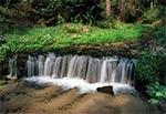 Najwyższy naturalny wodospad Roztocza - potok Jeleń
