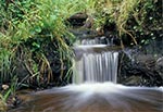 Niewielki wodospadzik na niewielkim potoku, w rejonie Chotylubia (Hrymaków). Obecnie (rok 2023) jest on już pod wodą, bo zatopiły go bobry budując tamę