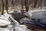Zimowy potok Sopot koło Hamerni
