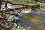 Potok Sopot w swej dolinie przełomowej, przecinającej krawędź Roztocza